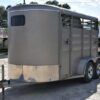 2010 Calico 2 Horse Trailer