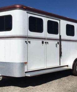 2007 Hawk 2 Horse Bumper Pull Side Ramp